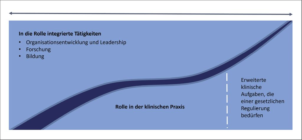 Advanced Practice Nursing In Der Klinischen Praxis - Onkologie ...